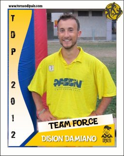 TEAM FORCE